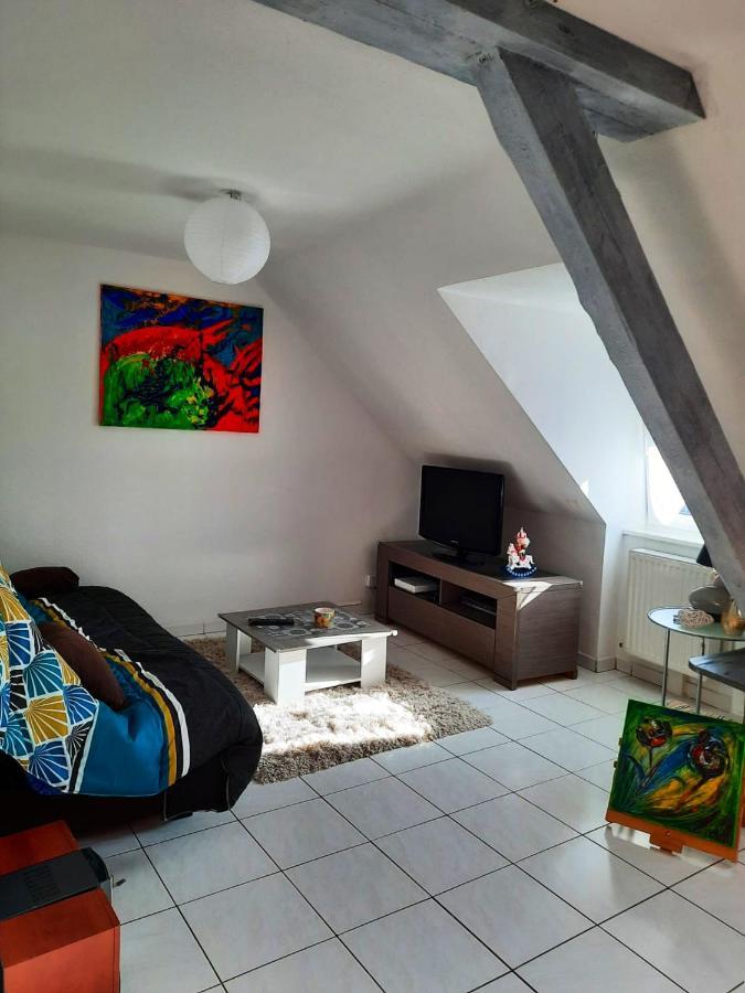 Appartement Spacieux A Ingersheim Avec Vue Sur Jardin 100 M² Exteriér fotografie