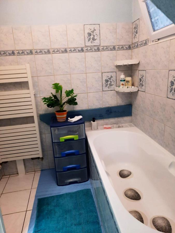 Appartement Spacieux A Ingersheim Avec Vue Sur Jardin 100 M² Exteriér fotografie